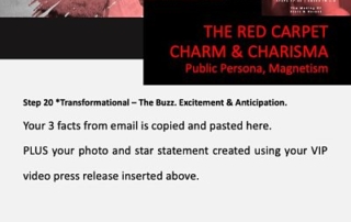 vip report, making of stars and heroes, step 20