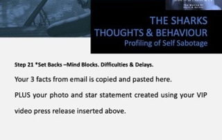 vip report, making of stars and heroes, step 21